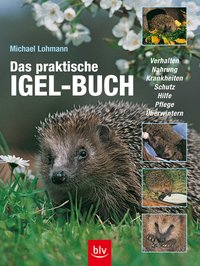 Cover des Mediums