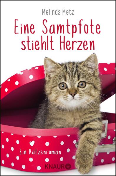 Cover des Mediums