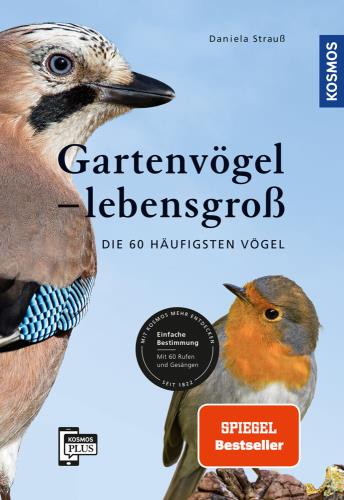Cover des Mediums