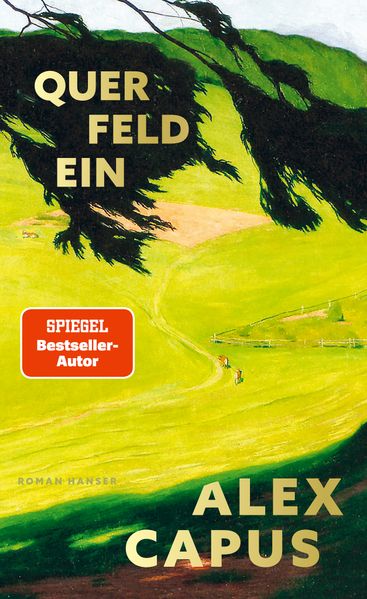Cover des Mediums