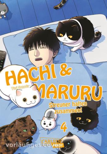 Cover des Mediums