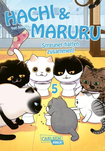 Cover des Mediums