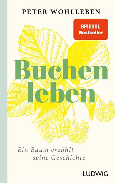 Cover des Mediums