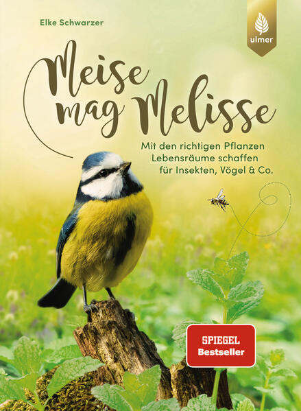 Cover des Mediums