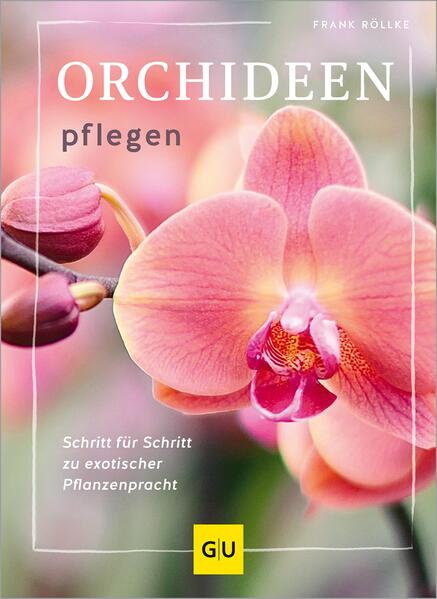 Cover des Mediums
