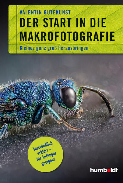 Cover des Mediums