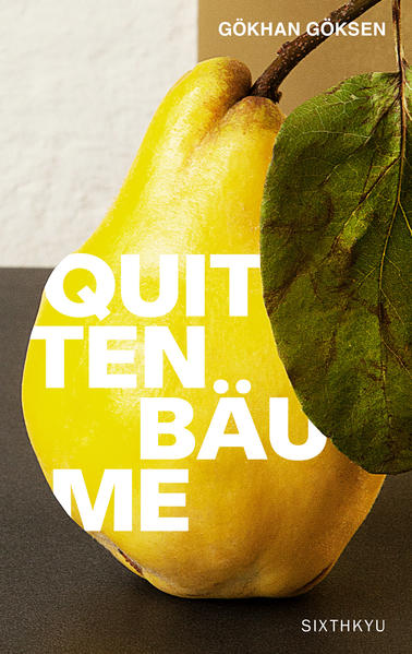 Cover des Mediums