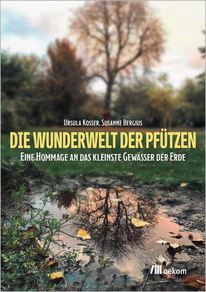 Cover des Mediums