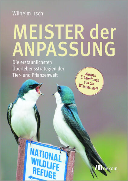 Cover des Mediums