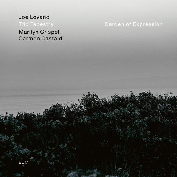 Cover des Titels Joe Lovano Trio Tapestry - Garden of expression