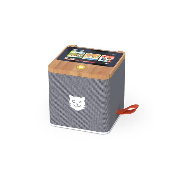 Tigerbox TOUCH grau