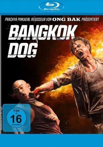 Bangkok dog