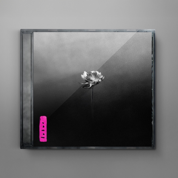 Cover des Mediums