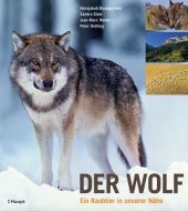 Der Wolf