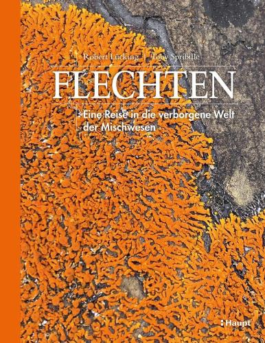 Cover des Mediums
