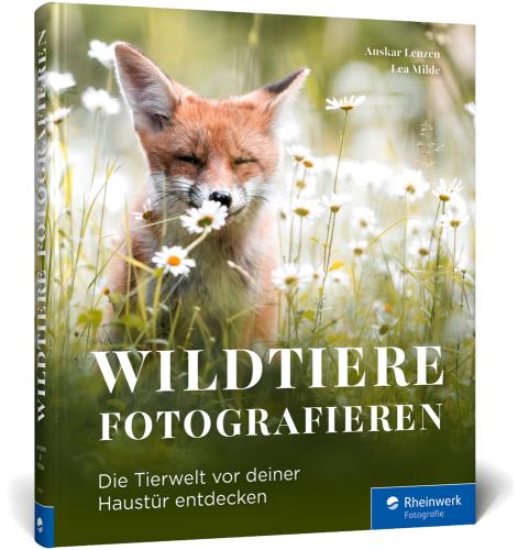 Cover des Mediums