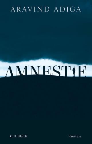 Amnestie
