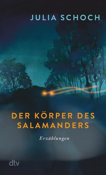 Cover des Mediums