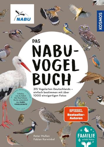 Cover des Mediums
