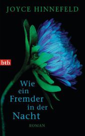 Wie ein Fremder in der Nacht