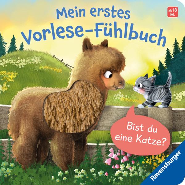 Bist du eine Katze?