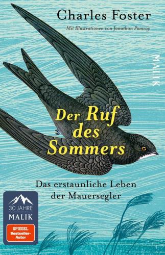 Cover des Mediums