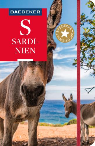 Cover des Mediums