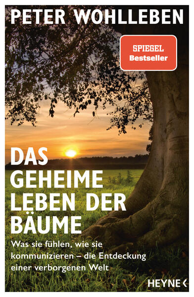Cover des Mediums