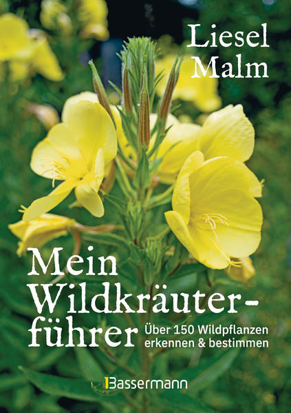 Cover des Mediums