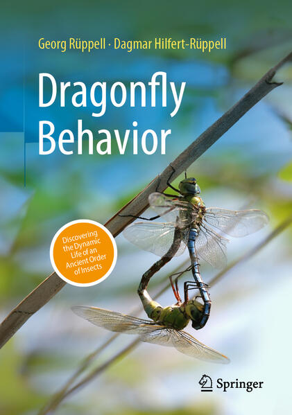 Dragonfly behavior