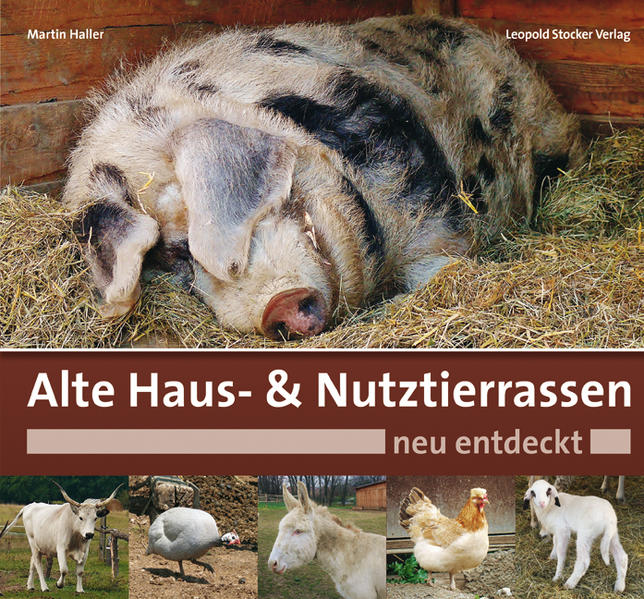 Cover des Mediums