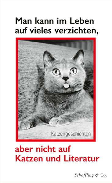 Cover des Mediums