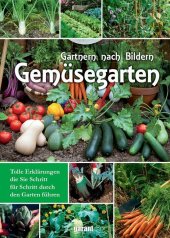 Cover des Mediums