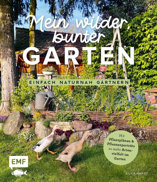 Cover des Mediums