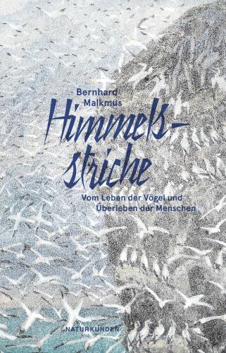 Cover des Mediums