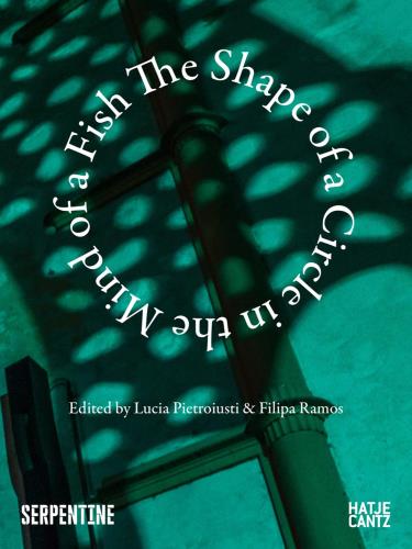 The shape of a circle in the mind of a fish