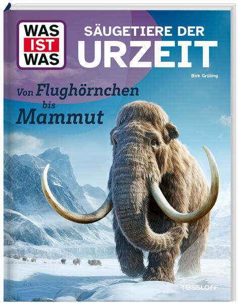 Cover des Mediums
