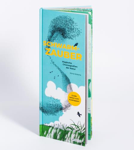 Cover des Mediums