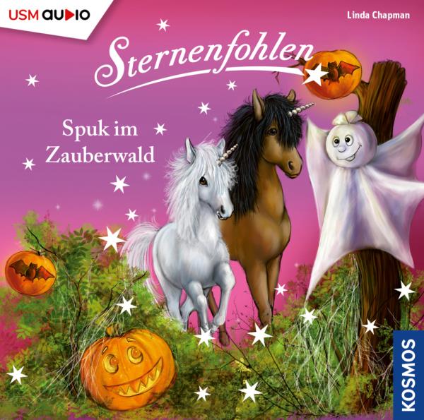 Cover des Titels Spuk im Zauberwald