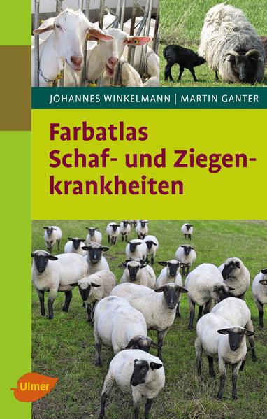 Cover des Mediums