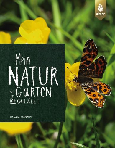 Cover des Mediums