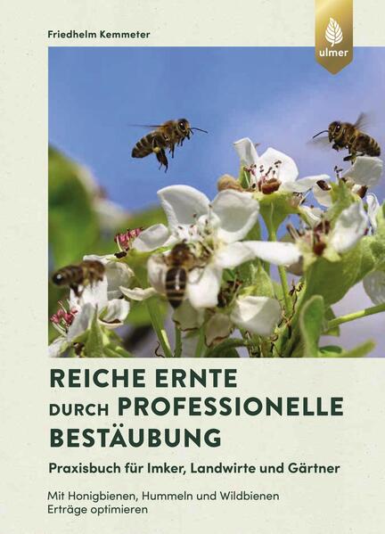 Cover des Mediums