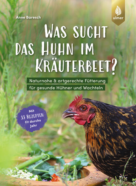 Cover des Mediums