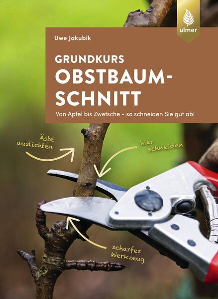 Cover des Mediums