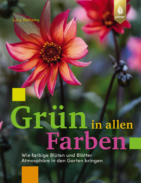 Cover des Mediums