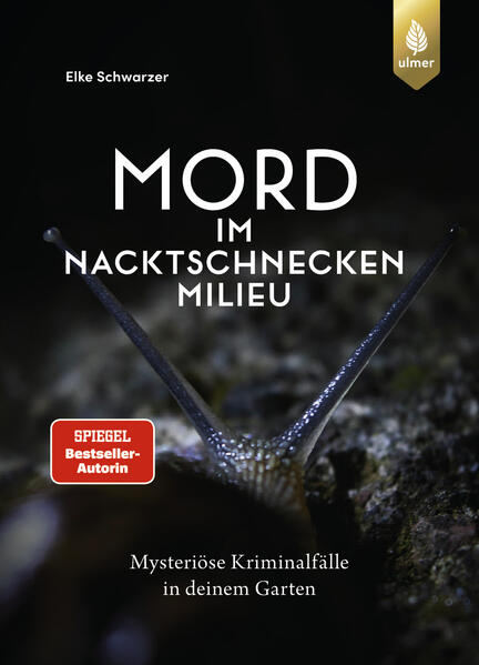 Cover des Mediums
