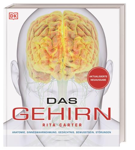Cover des Titels Das Gehirn