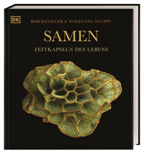Cover des Mediums