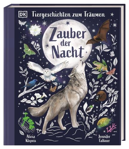 Zauber der Nacht