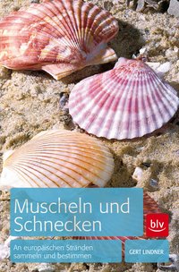 Cover des Mediums